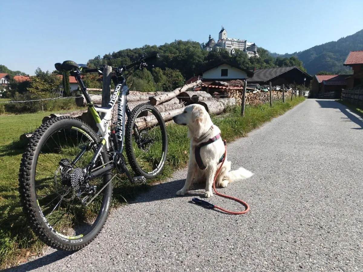 Ciao-Aschau Grenzhub Fewo 308 Foerster Aschau im Chiemgau Appartement